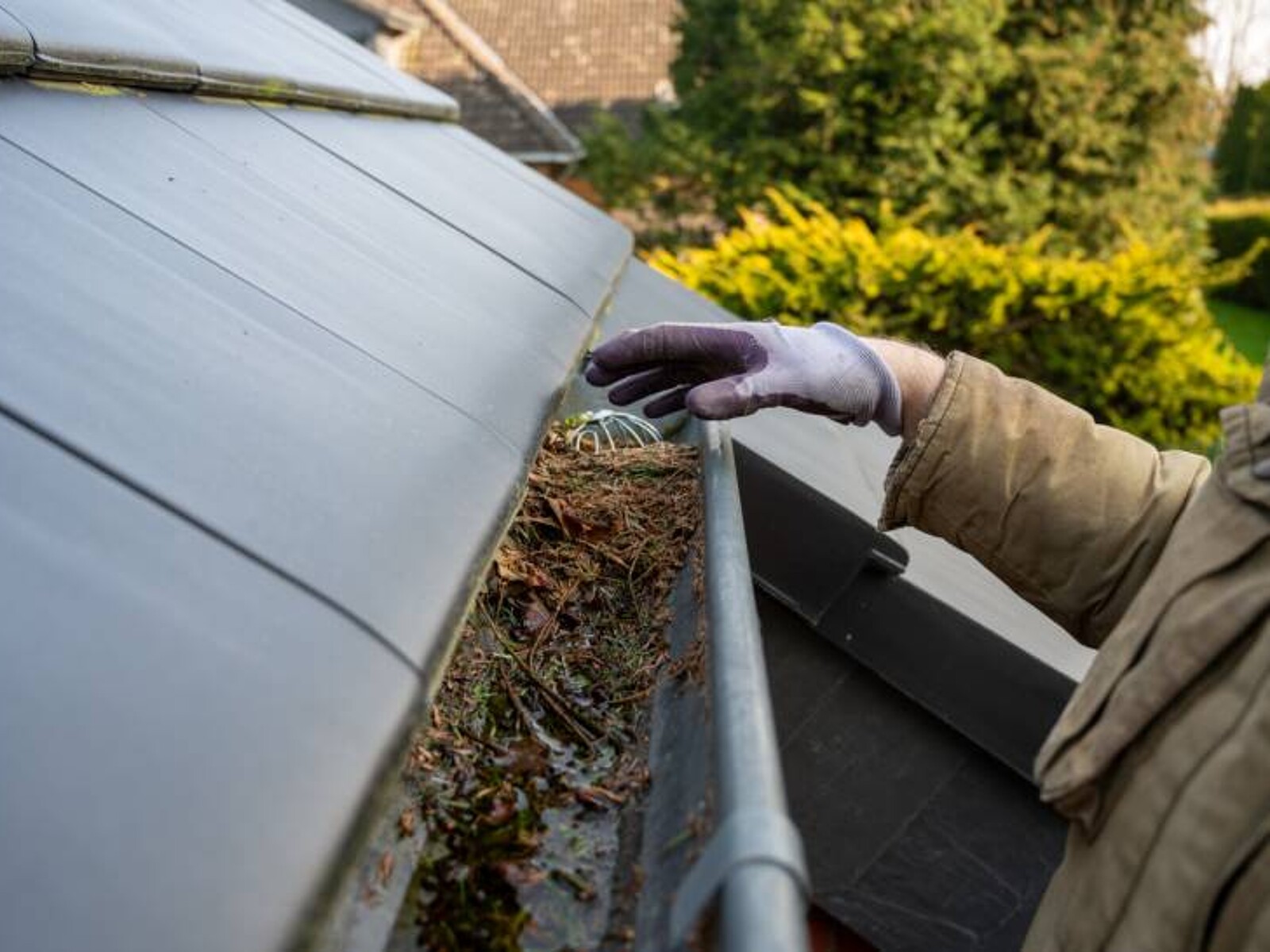 Gutter Cleaning - Image 4